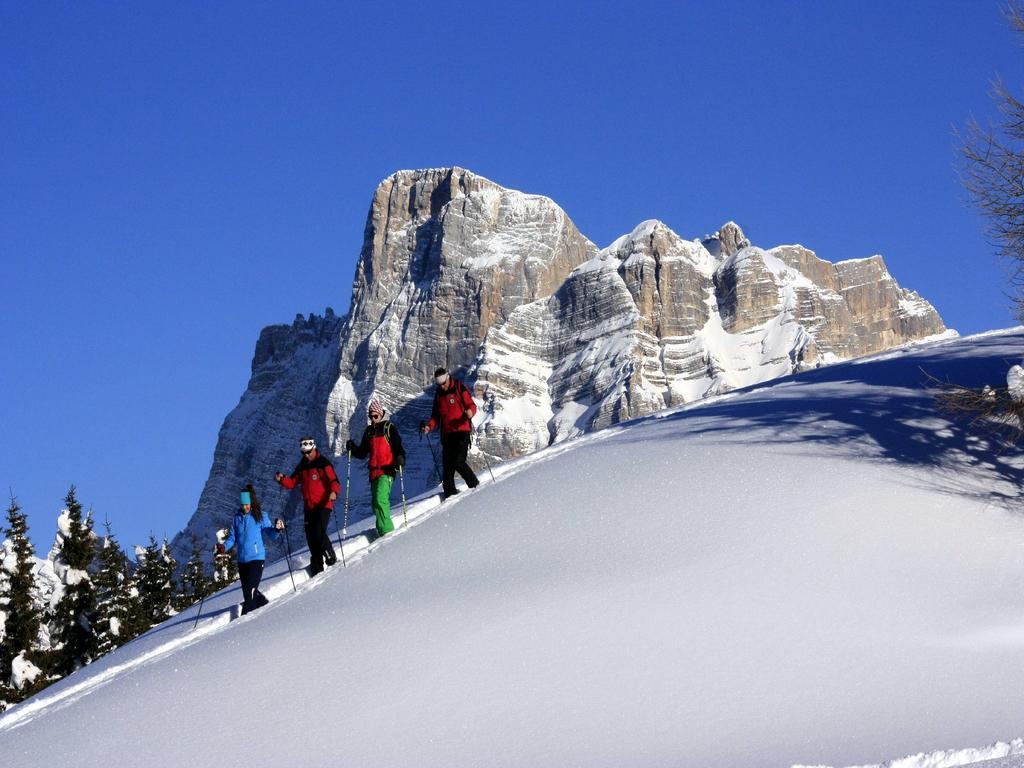 Apartamento Centro Thule - Genziana Selva di Cadore Exterior foto